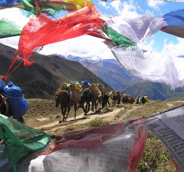 Snowman Trek Bhutan
