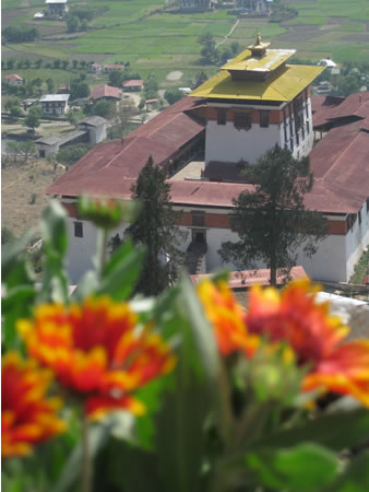 Flowers with dzong