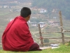 Monk enjoying view