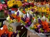 Gorgeous flowers at Pike Place Market