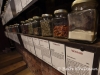 A variety of spices at World Spice