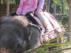 Jan and Amanda riding an elephant