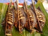 BBQ\'d fish in Thailand