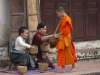 Monk accepting alms in Luang Prabang