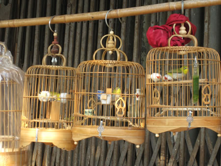 Birdcages in Hanoi