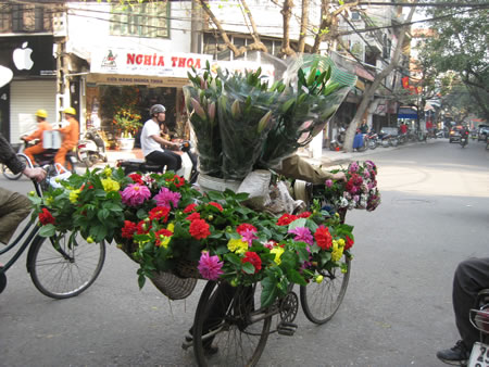Hanoi flower seller