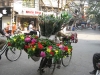 Hanoi flower seller