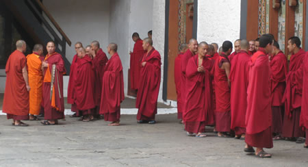 Monks at Punakha Dzong