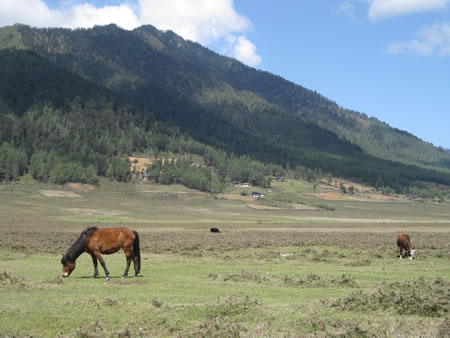 Phoblika Valley in Bhutan