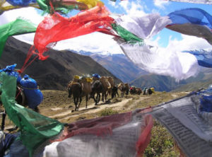Ponies and Prayer Flags in Bhutan - Snowman Trek