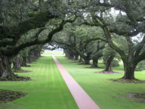 Oak Alley Plantation