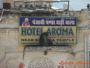 Hotel-Aroma-Pushkar-India