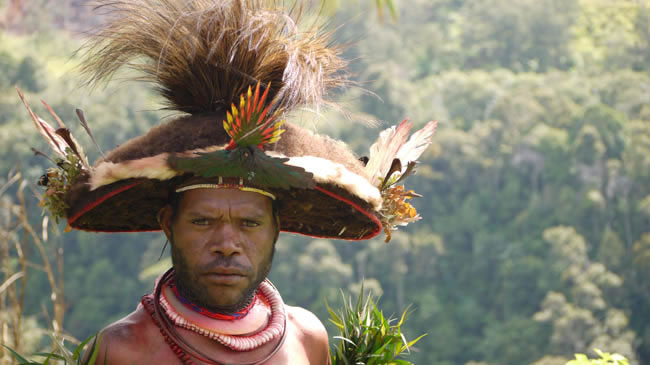 Huli Wigman Papua New Guinea