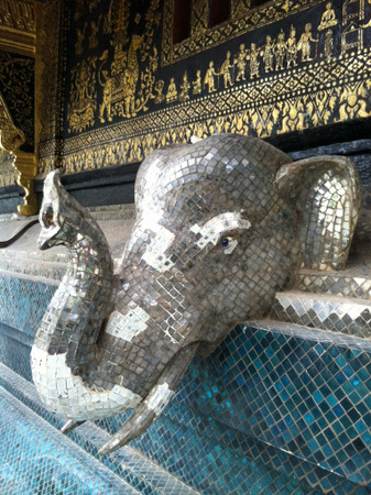 Thai elephant