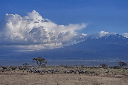 Mt. Kilimanjaro