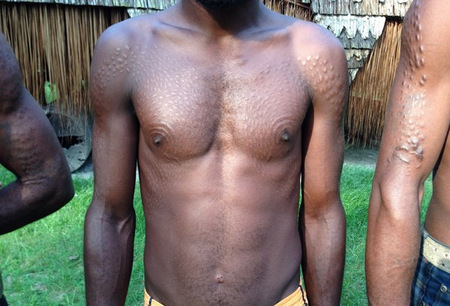 Scars on the back of a Chambri man to look like crocodile skin, Kanganaman  village, Middle Sepik, Papua New Guinea Stock Photo - Alamy