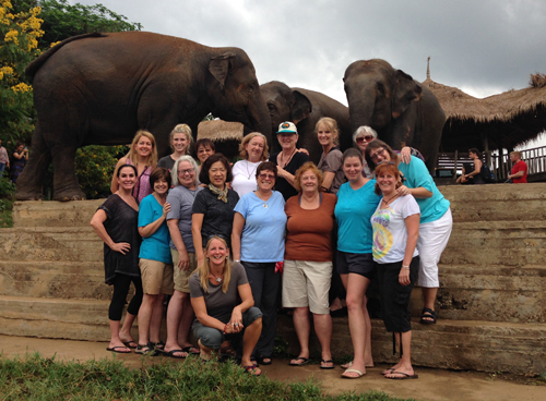 Thailand group elephants