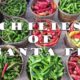 Chilies of Santa Fe