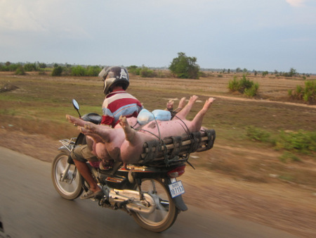 How to successfully cross the road in Vietnam - Autoblog