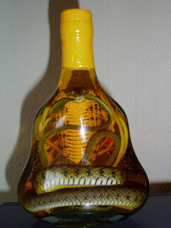 Vietnamese snake wine