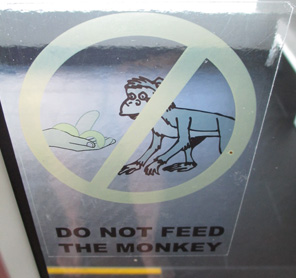 Indonesia monkey sign