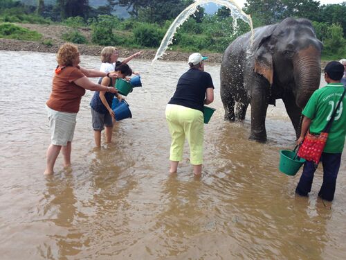 Elephant Nature Park