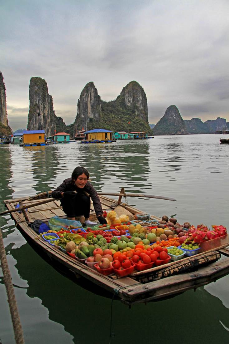 Halong Bay Fruit Vendor