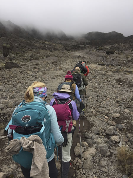 Group Hiking Kilimanjaro