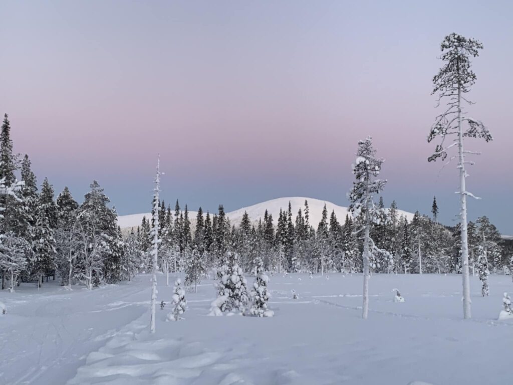Lapland Snow