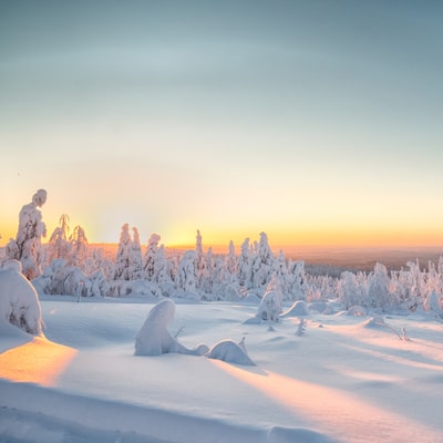 Lapland Tour Winter Landscape
