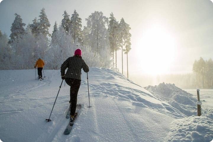 Backcountry Skiing Lapland Tour