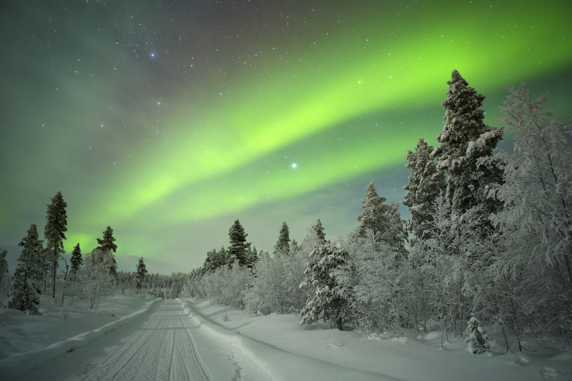 Aurora borealis over a track through winter landscape, Lapland
