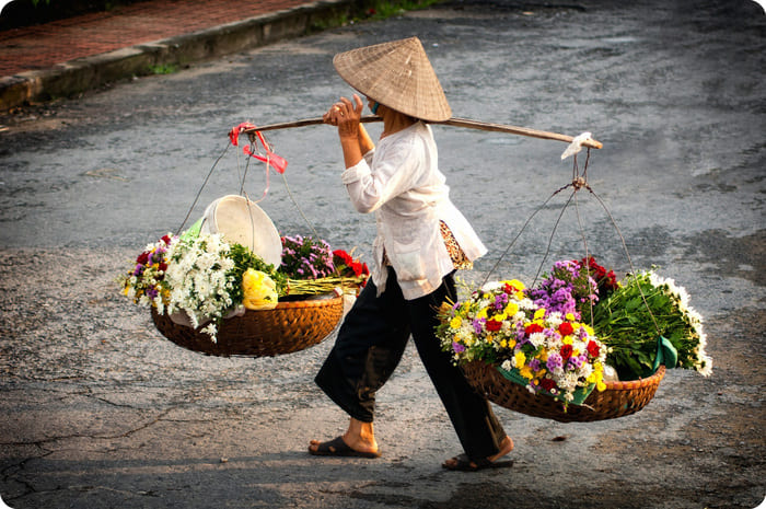 Vietnam Flower Vendor Hanoi