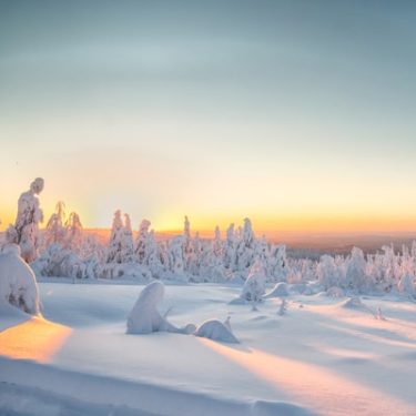 Lapland Tour Winter Landscape